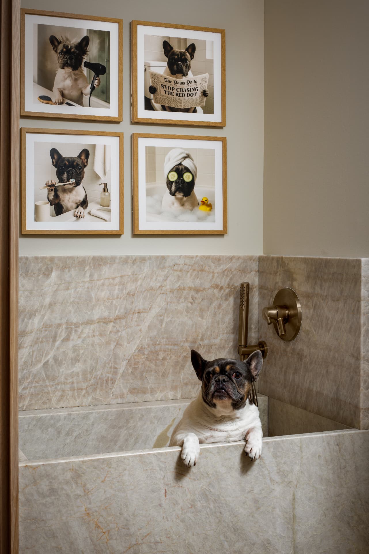 Cherry Creek dog bath detail with a bulldog in the marble tub